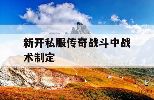 新开私服传奇战斗中战术制定