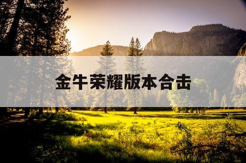 金牛荣耀版本合击