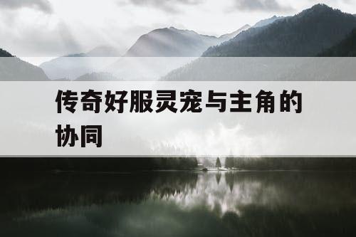 传奇好服灵宠与主角的协同