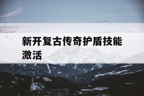 新开复古传奇护盾技能激活