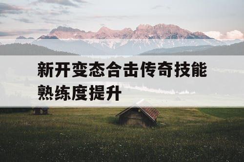 新开变态合击传奇技能熟练度提升