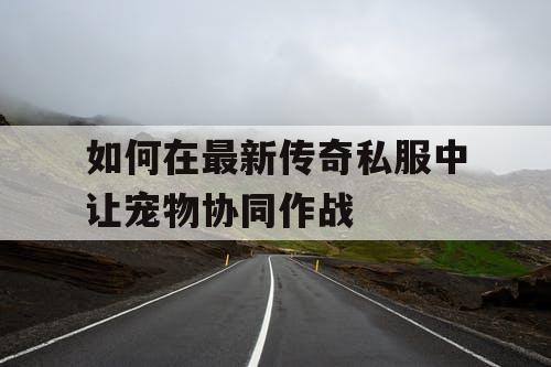 如何在最新传奇私服中让宠物协同作战