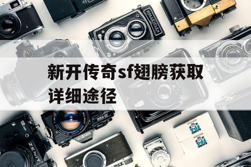 新开传奇sf翅膀获取详细途径
