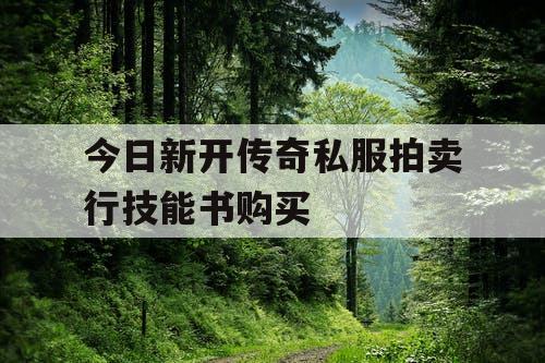 今日新开传奇私服拍卖行技能书购买 今日新开传奇私服拍卖行技能书购买