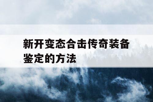 新开变态合击传奇装备鉴定的方法