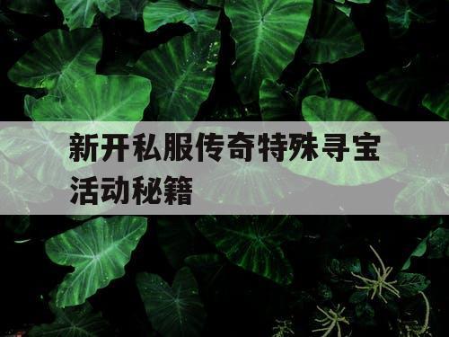 新开私服传奇特殊寻宝活动秘籍