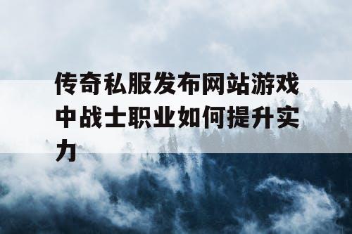 传奇私服发布网站游戏中战士职业如何提升实力