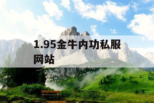 1.95金牛内功私服网站