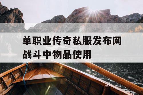 单职业传奇私服发布网战斗中物品使用