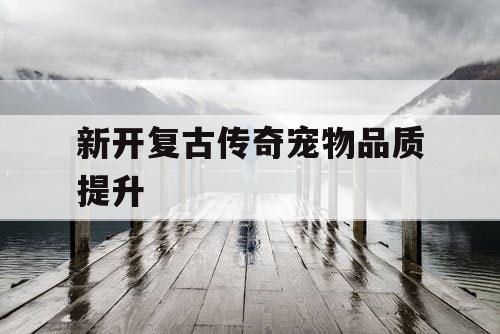 新开复古传奇宠物品质提升