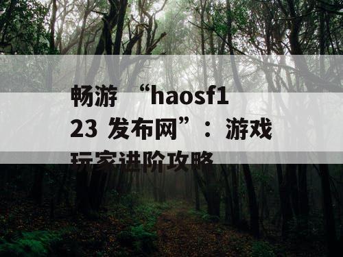 畅游 “haosf123 发布网”：游戏玩家进阶攻略