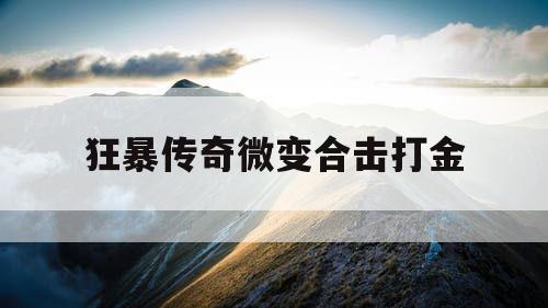 狂暴传奇微变合击打金