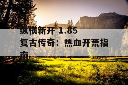 纵横新开 1.85 复古传奇：热血开荒指南