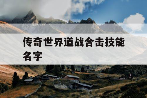 传奇世界道战合击技能名字