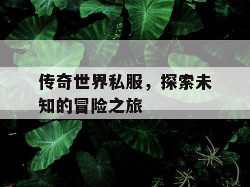 传奇世界私服，探索未知的冒险之旅