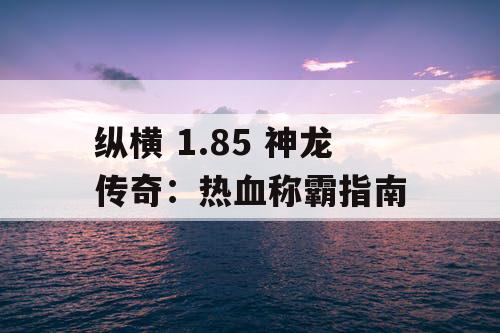 纵横 1.85 神龙传奇：热血称霸指南