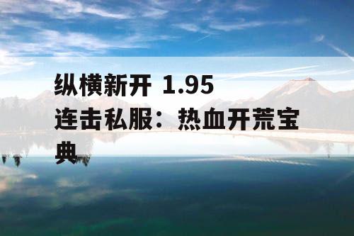 纵横新开 1.95 连击私服：热血开荒宝典