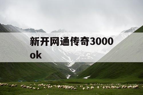 新开网通传奇3000ok