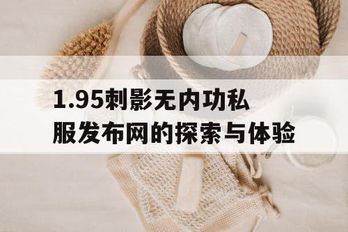 1.95刺影无内功私服发布网的探索与体验