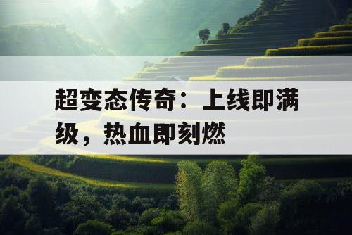 超变态传奇：上线即满级，热血即刻燃