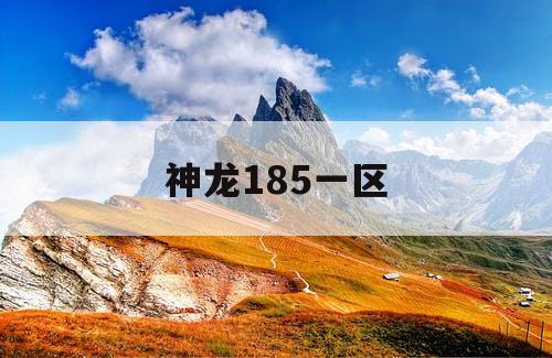 神龙185一区