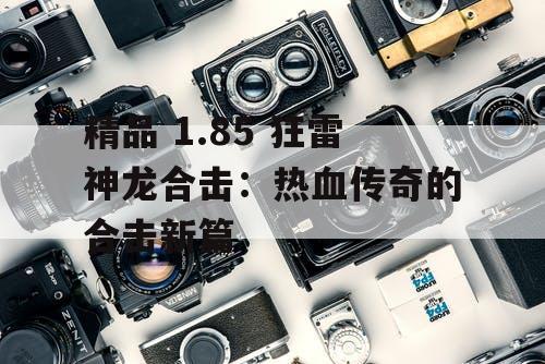 精品 1.85 狂雷神龙合击：热血传奇的合击新篇