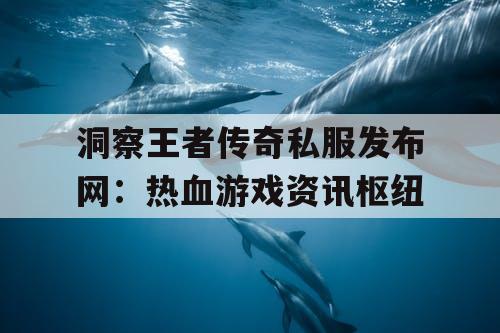 洞察王者传奇私服发布网：热血游戏资讯枢纽