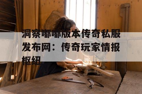 洞察嘟嘟版本传奇私服发布网：传奇玩家情报枢纽