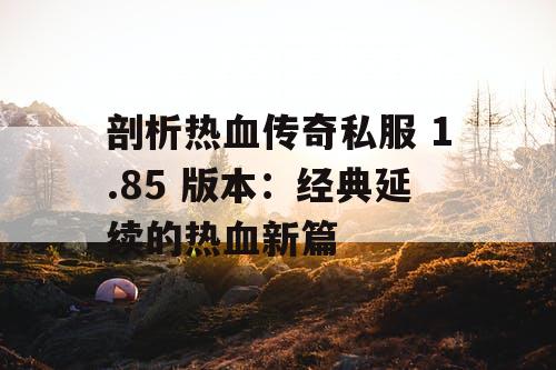 剖析热血传奇私服 1.85 版本：经典延续的热血新篇