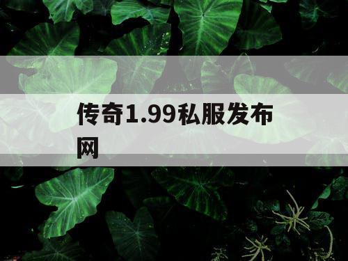 传奇1.99私服发布网