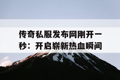 传奇私服发布网刚开一秒：开启崭新热血瞬间