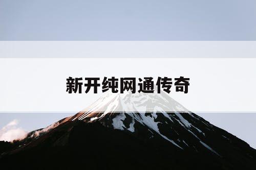 新开纯网通传奇