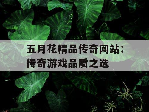 五月花精品传奇网站：传奇游戏品质之选