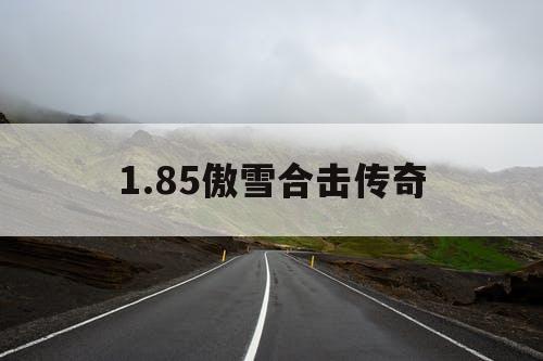 1.85傲雪合击传奇