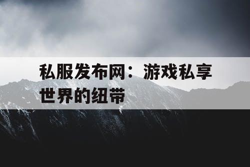 私服发布网：游戏私享世界的纽带