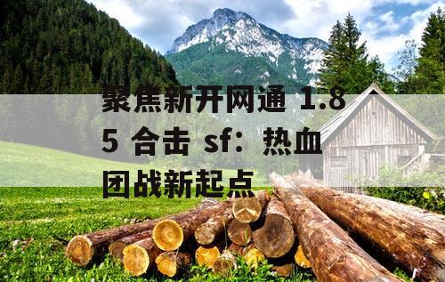 聚焦新开网通 1.85 合击 sf：热血团战新起点