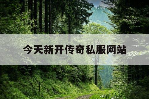 今天新开传奇私服网站