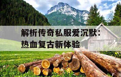 解析传奇私服爱沉默：热血复古新体验