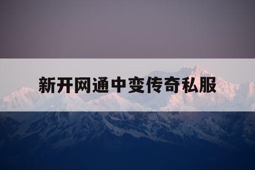 新开网通中变传奇私服