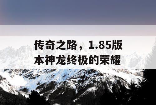 传奇之路，1.85版本神龙终极的荣耀