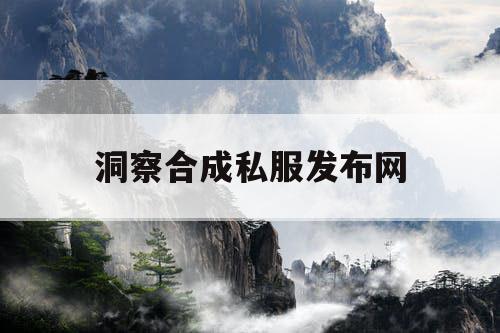 洞察合成私服发布网