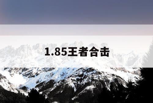 1.85王者合击