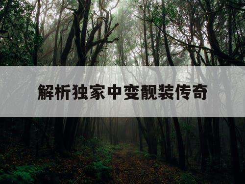 解析独家中变靓装传奇