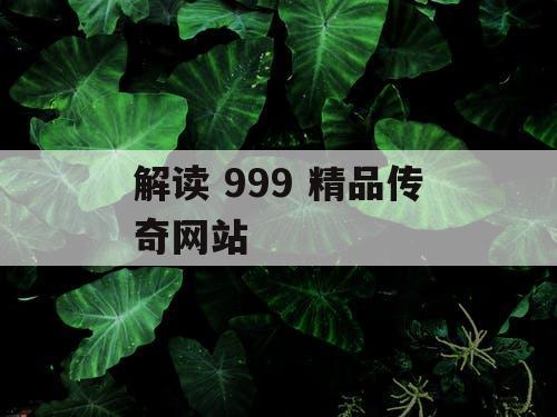 解读 999 精品传奇网站 解读 999 精品传奇网站