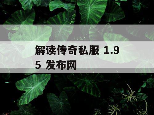解读传奇私服 1.95 发布网