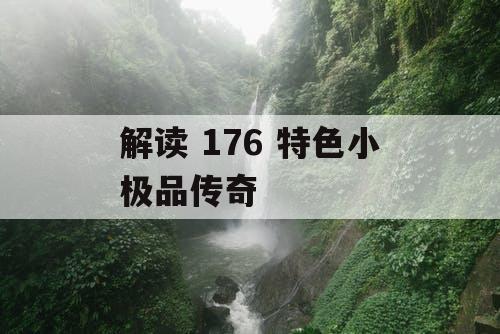 解读 176 特色小极品传奇