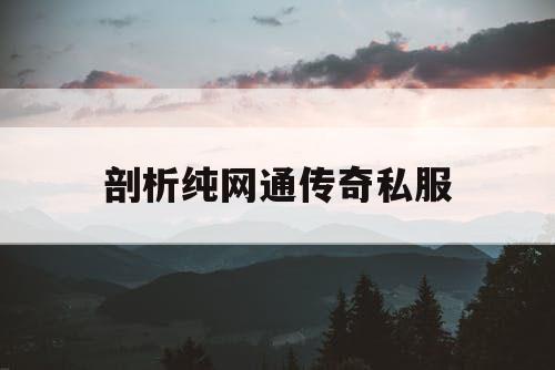 剖析纯网通传奇私服