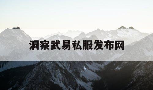 洞察武易私服发布网