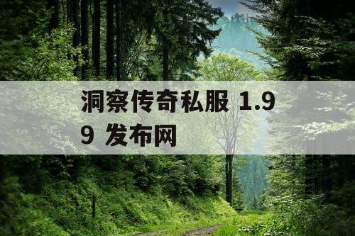洞察传奇私服 1.99 发布网