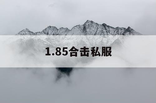 1.85合击私服